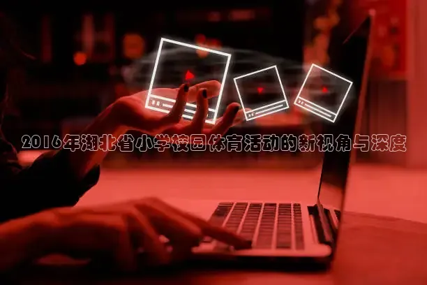 蜘蛛直播体育免费观看
